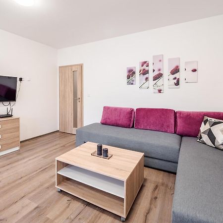 Private Luxury Apartments Frymburk Cameră foto