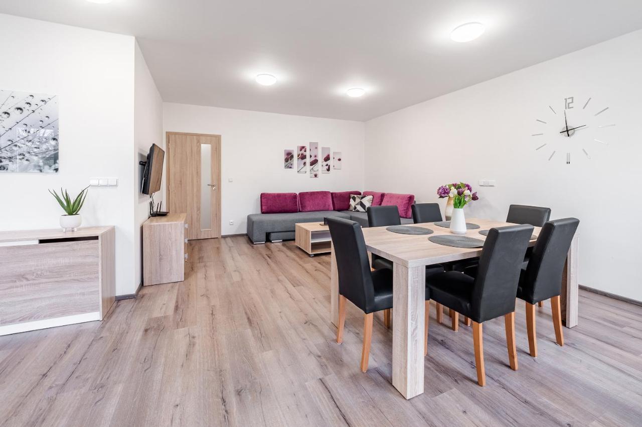 Private Luxury Apartments Frymburk Exterior foto